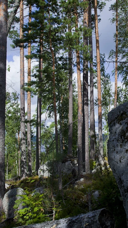 Retkeily ja aktiviteetit