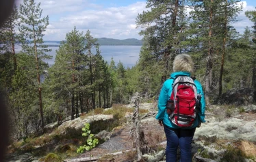 Retrkeilijä Haukkavuorella ihailee Päijännettä - Haukkavuoren huippu on noin 100 m Päijänteen pinnana yläpuolella. Olemme suojelleet Metso-suojeluohjelmalla vuoren Päijänteen puoleisen rinteen, jossa kasvaa mm. noin 400 vuotiaita mäntyjä. Vuoren rinteet ovat paikoitellen todella jyrkkiä. Huipulla voi kohdata hirviä.