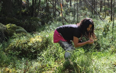 Kypsiä mustikoita nautittaviksi