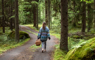 Kypsiä mustikoita nautittaviksi