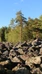 Tietoa meistä