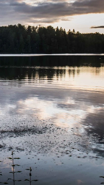 Welcome to Experience the Magic of Finnish Nature!