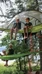 Tentsile puumajoitteet