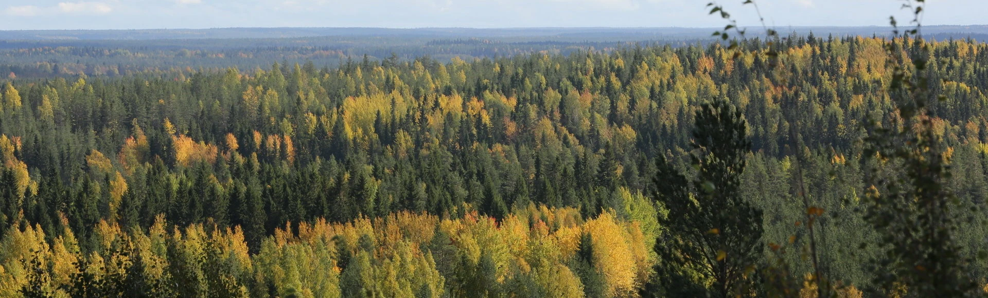 Meillä tapahtuu