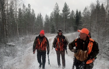 Teeri - Metsästys perustuu riistakolmiolakskentojen kanta-arvioihin.