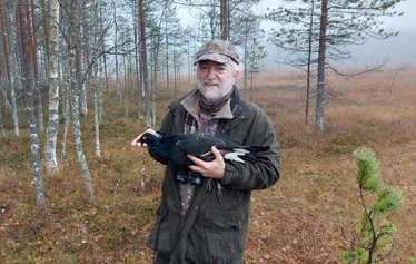 Teeri - Metsästys perustuu riistakolmiolakskentojen kanta-arvioihin.