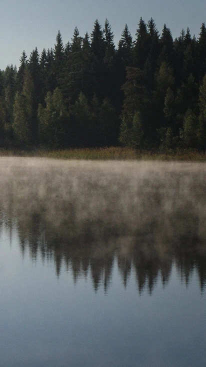 Kuuntele metsän ääntä