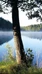 Relax Fox, guided nature walk 3 - 5 km from Hotel Nuuksio 