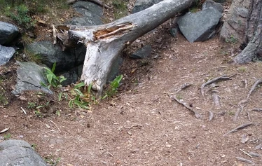 Tikankierros Mossenskär