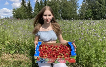 Mansikoita poimimassa vasemmalta Elsa-emäntä, isäntäpari Pentti ja Maija sekä oman kylän väkeä 1960-luvulla. 1960-luvulla.