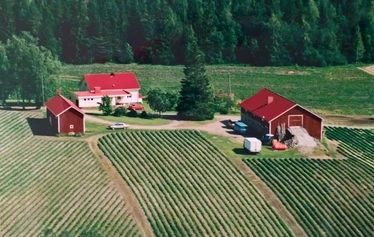 Mansikoita poimimassa vasemmalta Elsa-emäntä, isäntäpari Pentti ja Maija sekä oman kylän väkeä 1960-luvulla. 1960-luvulla.
