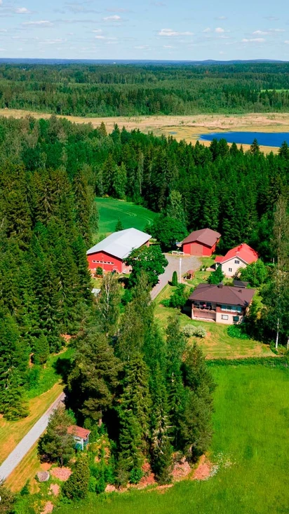 Kommee Kurki 