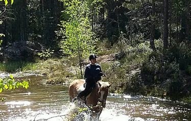 Maisemat kuin maalaus