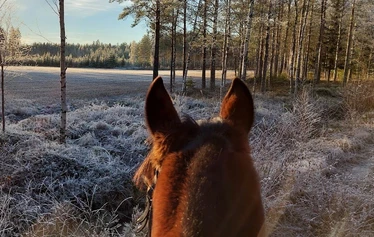 Maisemat kuin maalaus