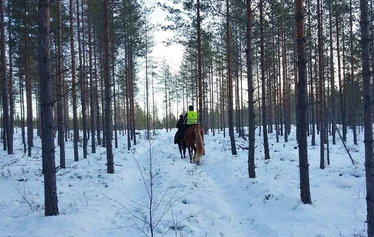 Maisemat kuin maalaus