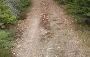 Maisemat kuin maalaus
