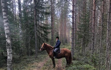 Maisemat kuin maalaus