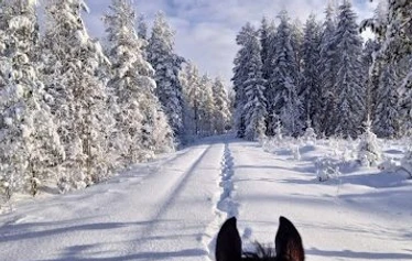 Maisemat kuin maalaus