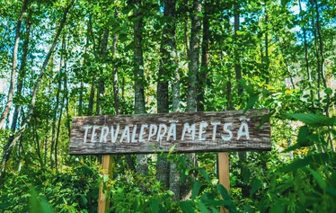 Puulajipuisto - Puulajipuiston sisäänkäynnit ovat Toholahden palvelukeskuksen (ent. vanhainkoti) pysäköintialueen läheisyydestä sekä Toholahdentieltä.