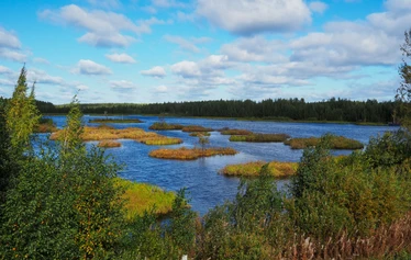 Rastunsuon lintujärvi - Näkymä luontopolun varrella olevasta toisesta lintutornista lintujärvelle.