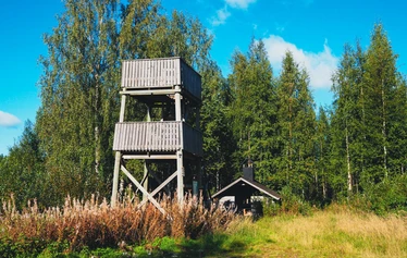 Rastunsuon lintujärvi - Näkymä luontopolun varrella olevasta toisesta lintutornista lintujärvelle.