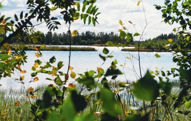 Rastunsuon lintujärvi - Näkymä luontopolun varrella olevasta toisesta lintutornista lintujärvelle.