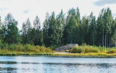 Rastunsuon lintujärvi - Näkymä luontopolun varrella olevasta toisesta lintutornista lintujärvelle.