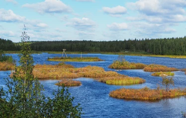 Rastunsuon lintujärvi - Näkymä luontopolun varrella olevasta toisesta lintutornista lintujärvelle.