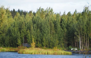 Rastunsuon lintujärvi - Näkymä luontopolun varrella olevasta toisesta lintutornista lintujärvelle.