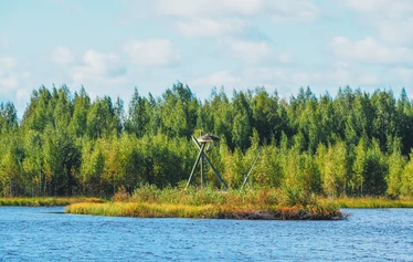 Rastunsuon lintujärvi - Näkymä luontopolun varrella olevasta toisesta lintutornista lintujärvelle.