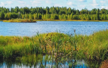 Rastunsuon lintujärvi - Näkymä luontopolun varrella olevasta toisesta lintutornista lintujärvelle.