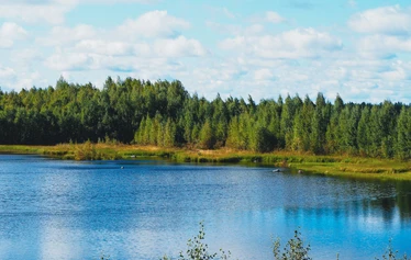Rastunsuon lintujärvi - Näkymä luontopolun varrella olevasta toisesta lintutornista lintujärvelle.
