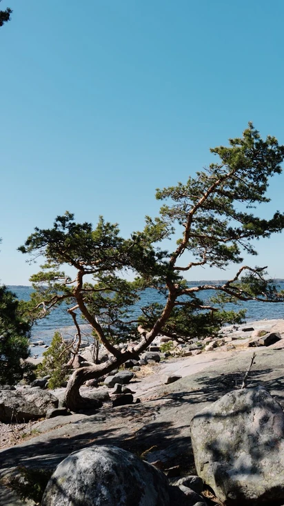 Exclusive Day Tour in the Archipelago - Kopparnäs