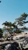 Exclusive Day Tour in the Archipelago - Kopparnäs
