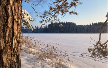 Akvarelli: Risto Puutio