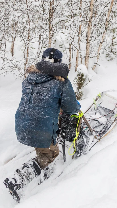 30min dogsledding