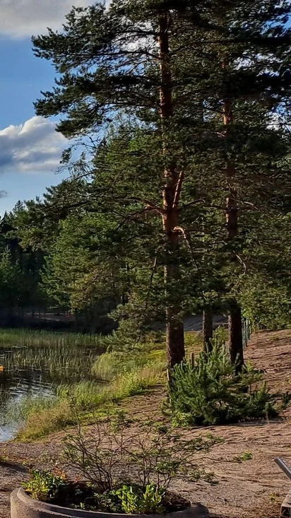 Welcome to Ruskoranta!