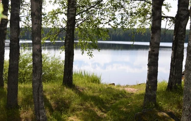 Eskelänniemen päärakennus. - Pohjois-Savossa, Sonkajärvellä, Jyrkän kylällä olevalla Eskelänniemen mökillä on iso nurmipiha.