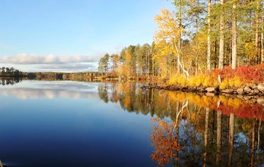 Savisaaren kalakämppä 2024. - Savisaaren kalakämppä, Haajaisten järvi, Jyrkkä, Sonkajärvi, Pohjois-Savo