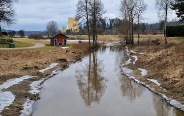 Kuva © Tanja Bergroth