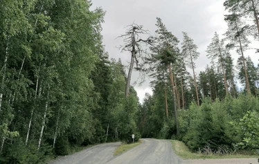 Näköala Petun lossilta - © Arja Kemppainen