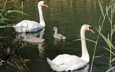 Näköala Petun lossilta - © Arja Kemppainen