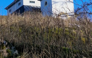 Teijon Masuuni - © Tanja Bergroth