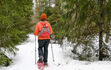 Sandrian villi luonto vuokraa laadukkaita TSL:n lumikenkiä Eurajoella, Satakunnan sydämessä.