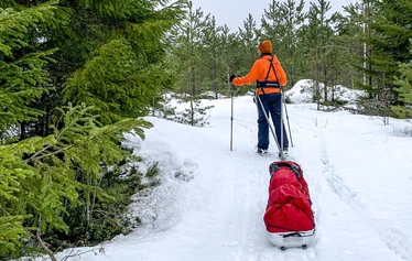 Rent snowshoes for your next winter adventure from Sandria's Wild Nature.