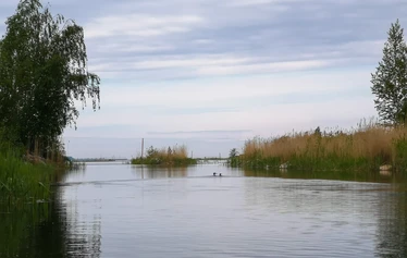 Many Faces of the Bothnian Sea – Calm Kayaking in Kuivalahti