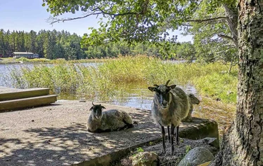 Eurajoen Kaunissaarta ei voi ohittaa rantautumatta! Tervetuloa mukaan luontokokemusten ja tarinoiden täyttämälle melontaretkelle merellisen Satakunnan sydämeen.