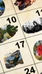 Upcoming Events by Sandria's Wild Nature