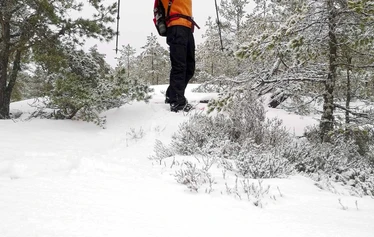 Sandrian villi luonto järjestää lumikenkäretkiä Eurajoella ja Raumalla