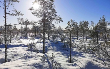 Sandrian villi luonto järjestää lumikenkäretkiä Eurajoella ja Raumalla